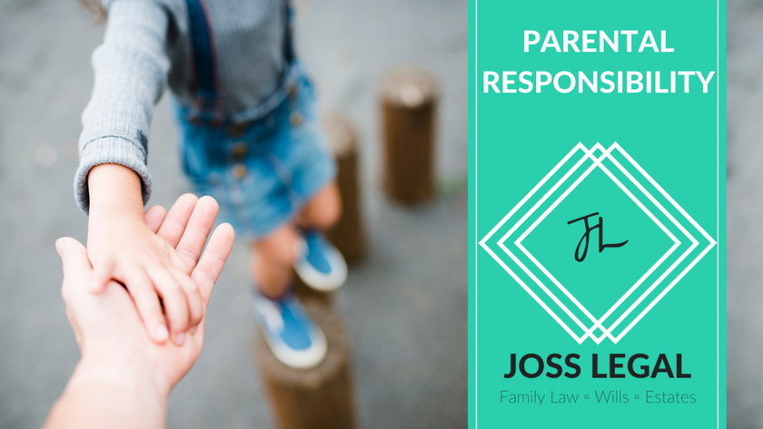 understanding-parental-responsibility-soles-vs-equal-with-case